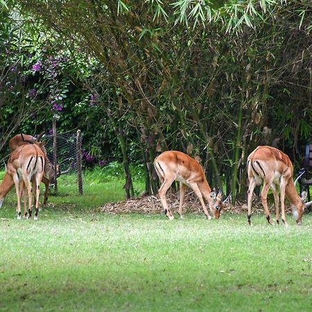 Lukenya Getaway Hotel Athi River Buitenkant foto