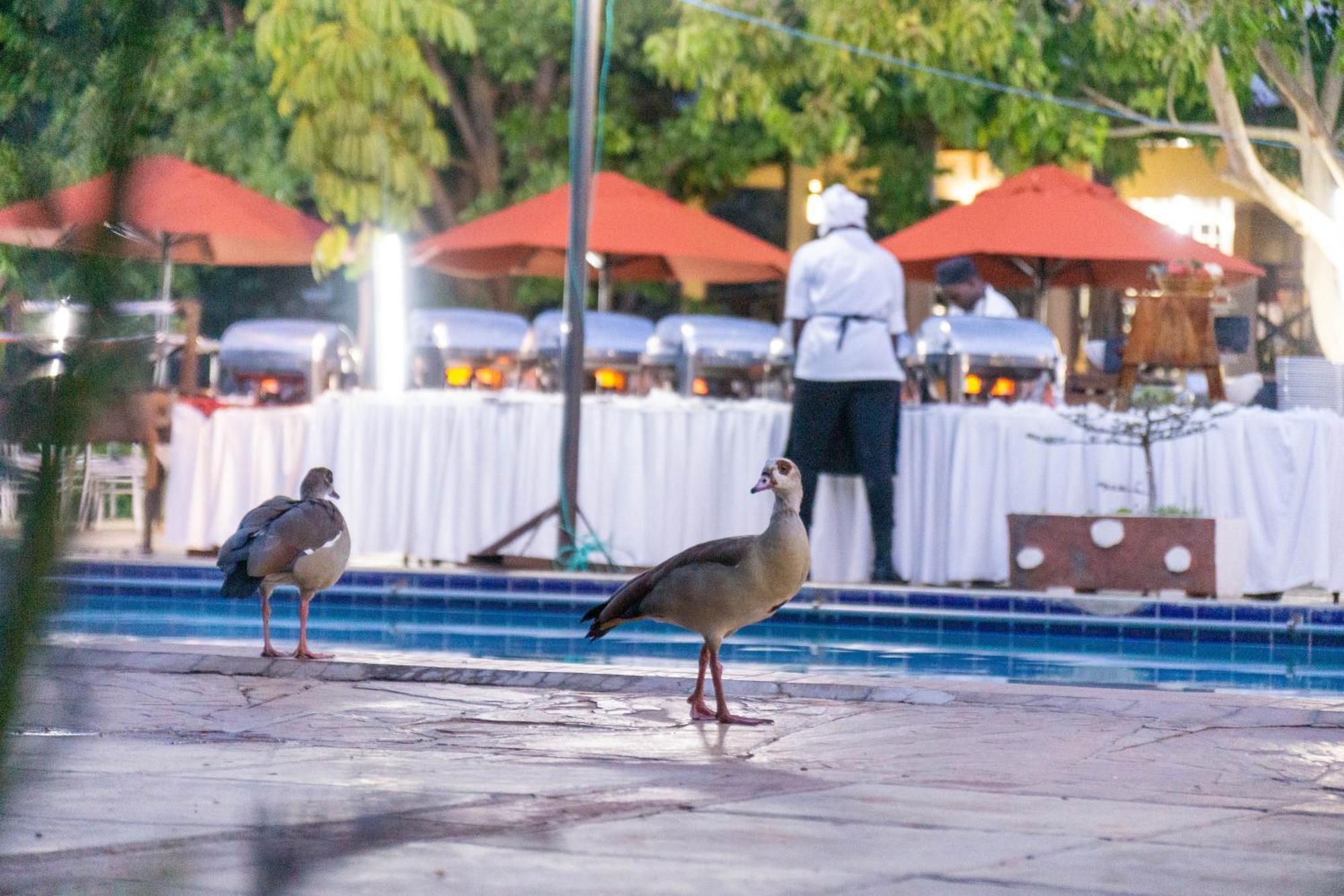 Lukenya Getaway Hotel Athi River Buitenkant foto